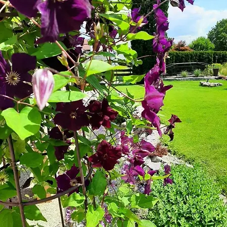 Appartementhaus Gaby *