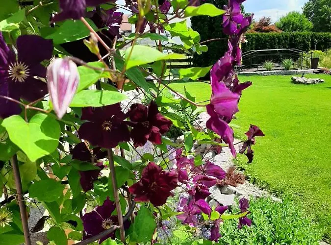 Appartementhaus Gaby *